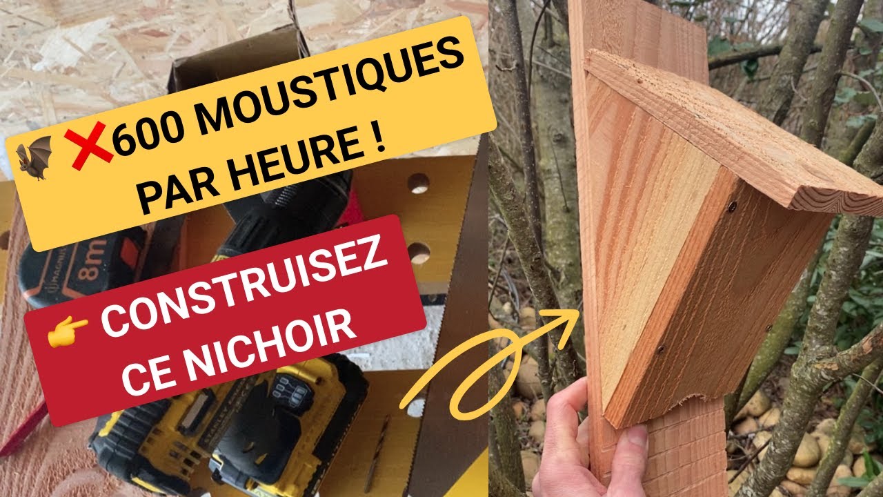 Elles mangent 600 moustiques par heure : Construisez ce nichoir à chauves-souris facile à réaliser