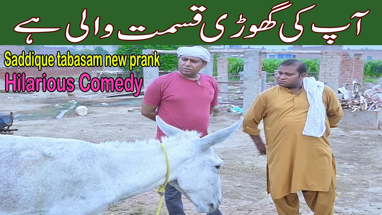 hilarious comedy by saddique tabasam & gergila | funny video | horse prank | #saddiquetabasam #2024