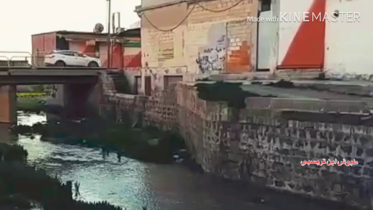#تربسبي احلا فيديو