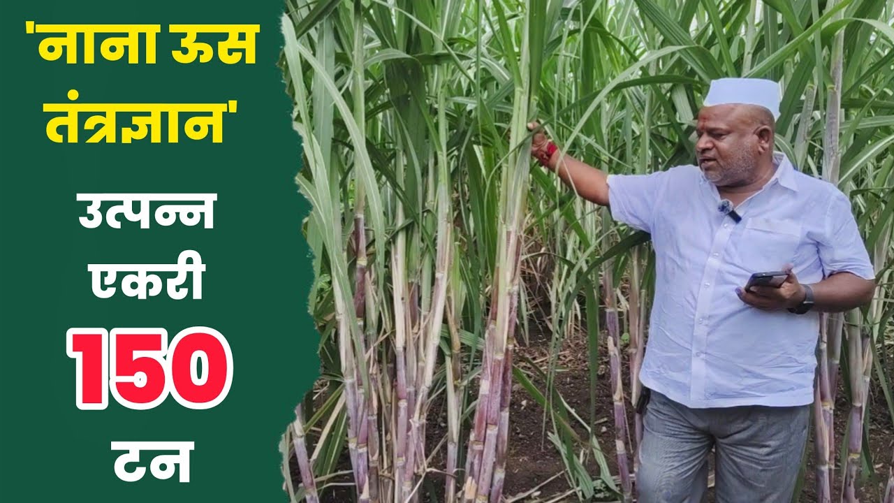 ऊस पिकातील नाना तंत्रज्ञान |प्रेत्येक शेतकऱ्याने पहावी अशी मुलाखत 🔥 | @TheKrushival