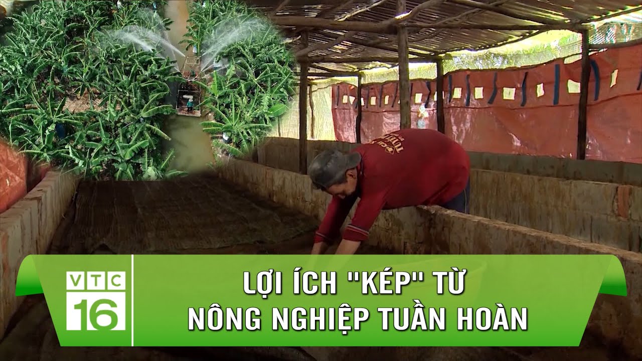 Lợi ích 