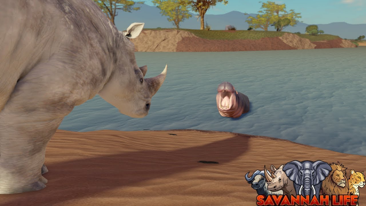 Rhino invades Hippo's Territory in Savannah Life | ROBLOX Savannah Life