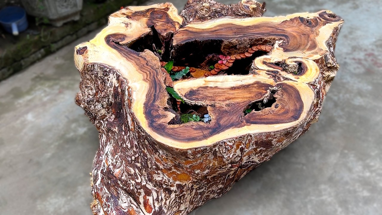 Sow's Ear to Silk Purse: Tree Stump Art That'll Knock Your Socks Off! Amazing Forest Coffee Table