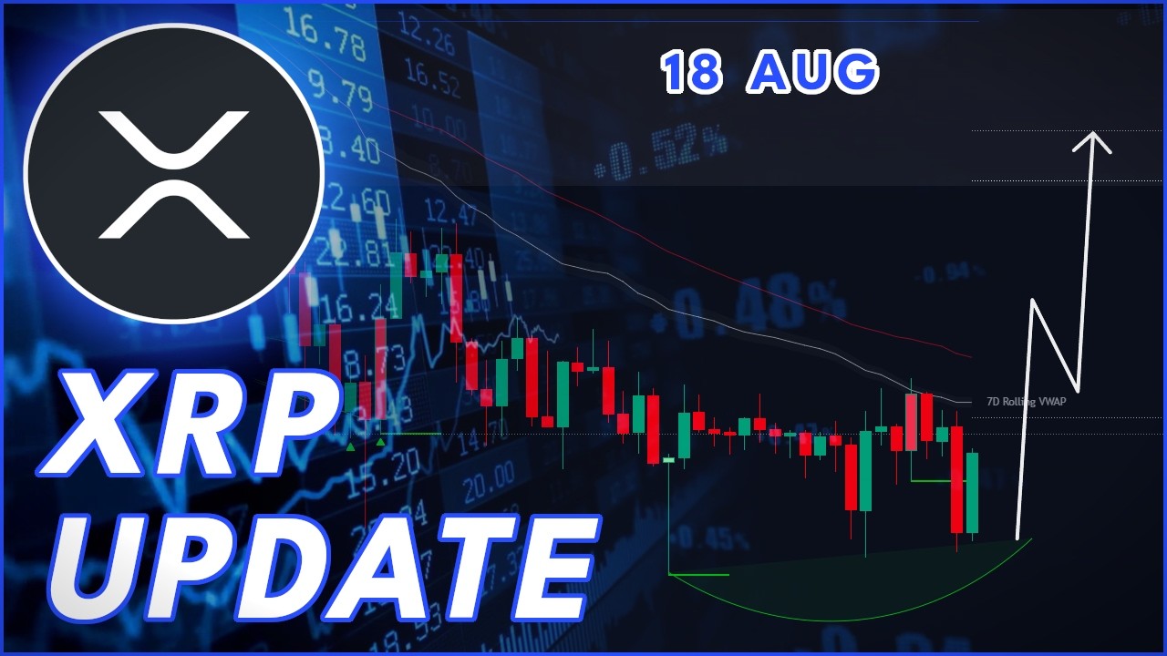 XRP BOTTOM OR CRASH LOWER?🚨 (Ripple Update)