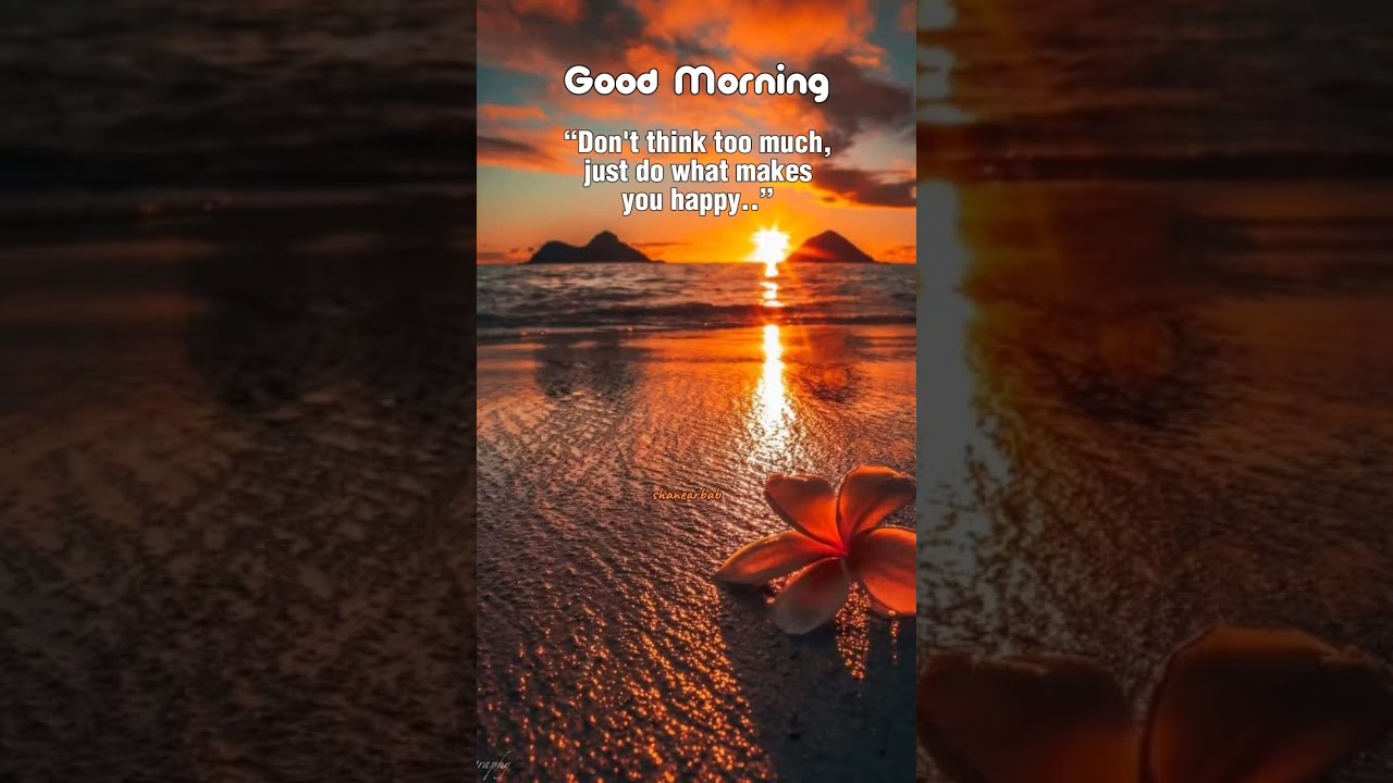 Good Morning #goodmorningeveryone #wednesday #blessings #trendingshorts #viralshorts #goodmorning