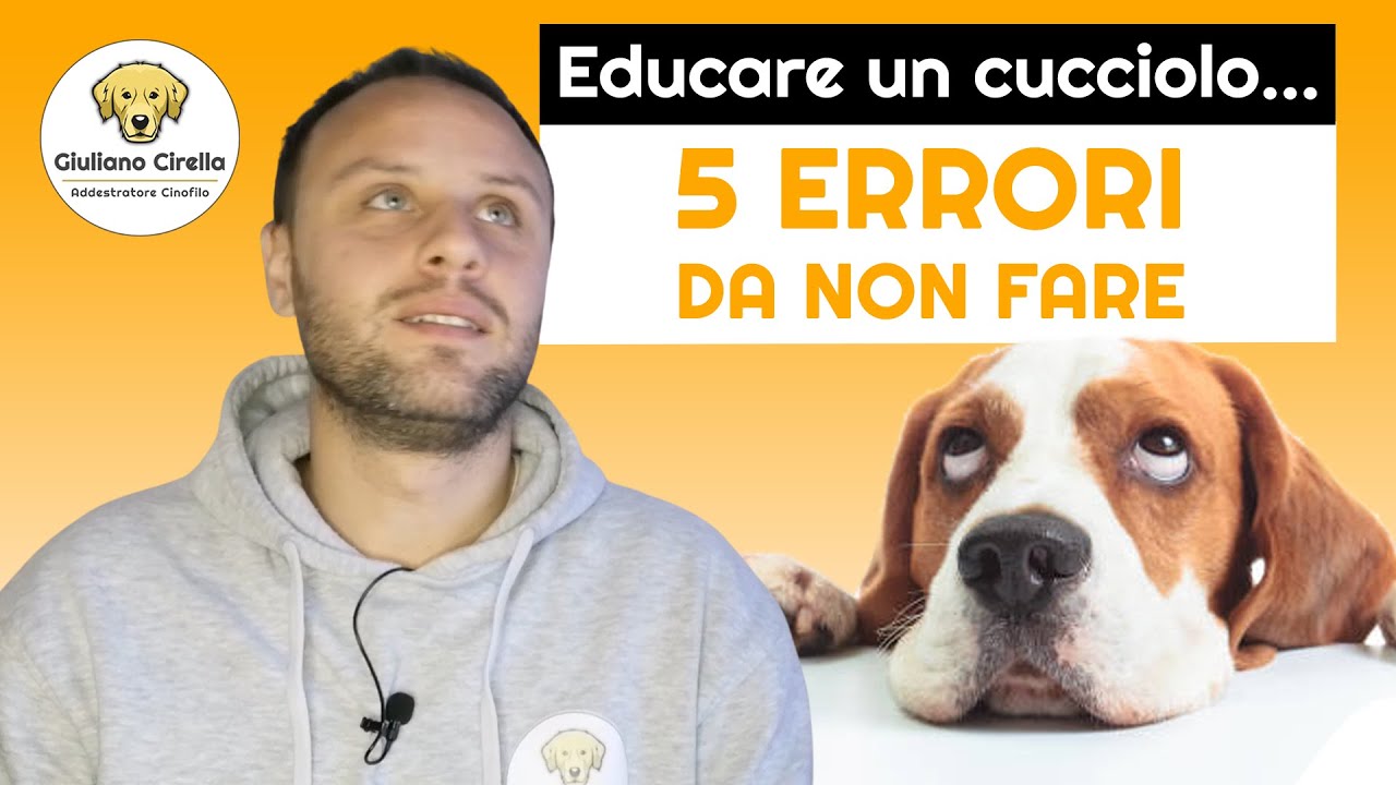 🐶 Come Educare un Cucciolo: i 5 Errori che Devi Assolutamente Evitare | Giuliano Addestratore