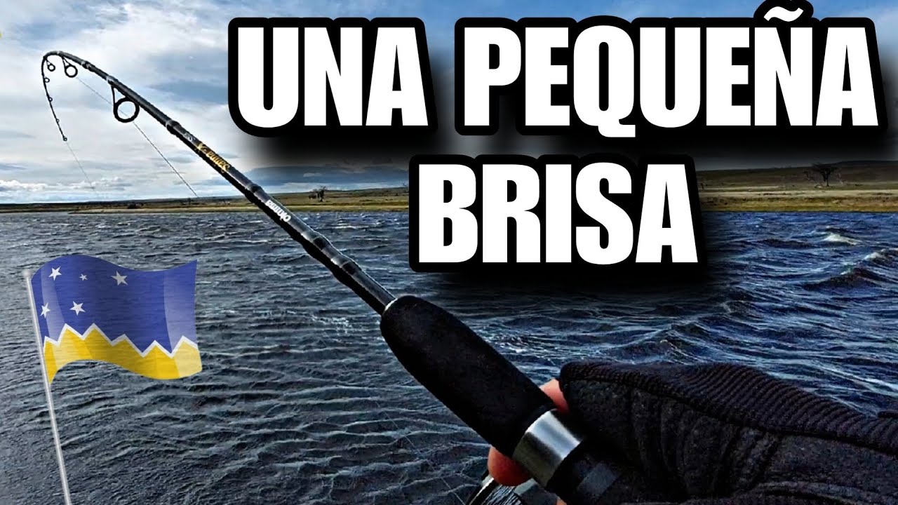 pescando con una pequeña brisa magallanica, testeando carrete Jaw 40 de Okuma 👌🏼
