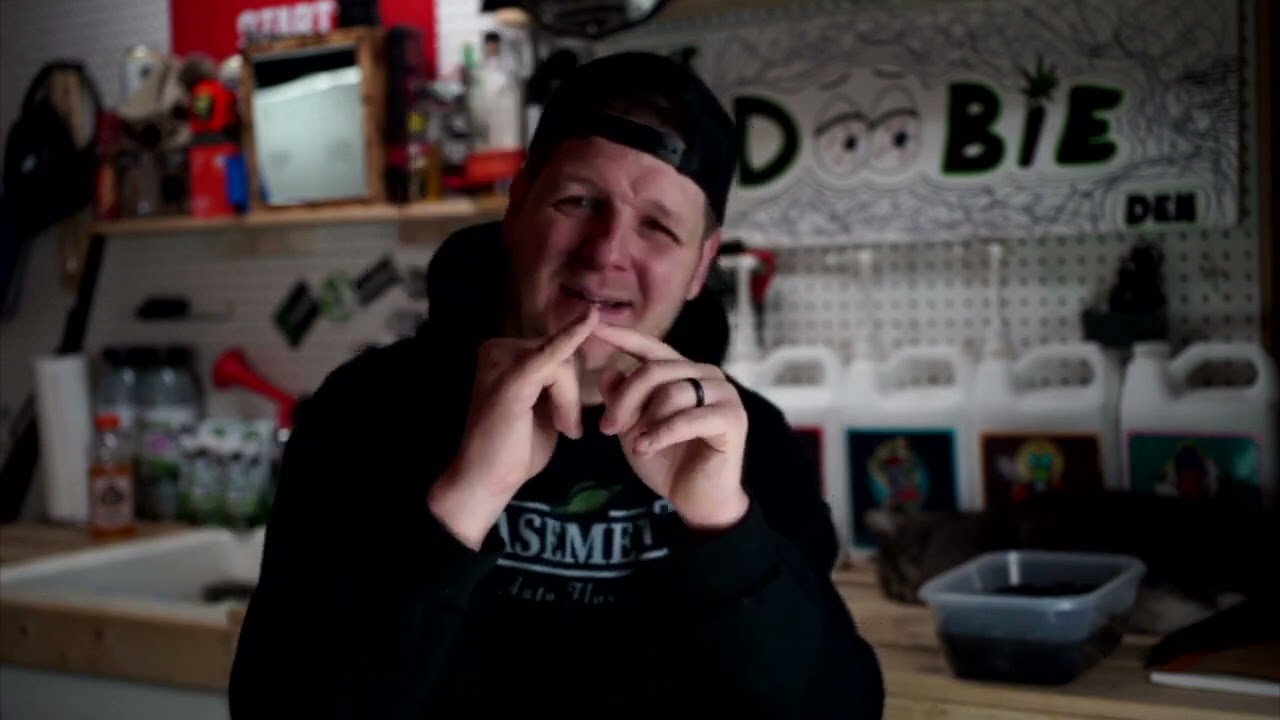 Basement Autoflowers - How To Grow AutoFlowers  Week 1 BreakDown #tnbnaturals
