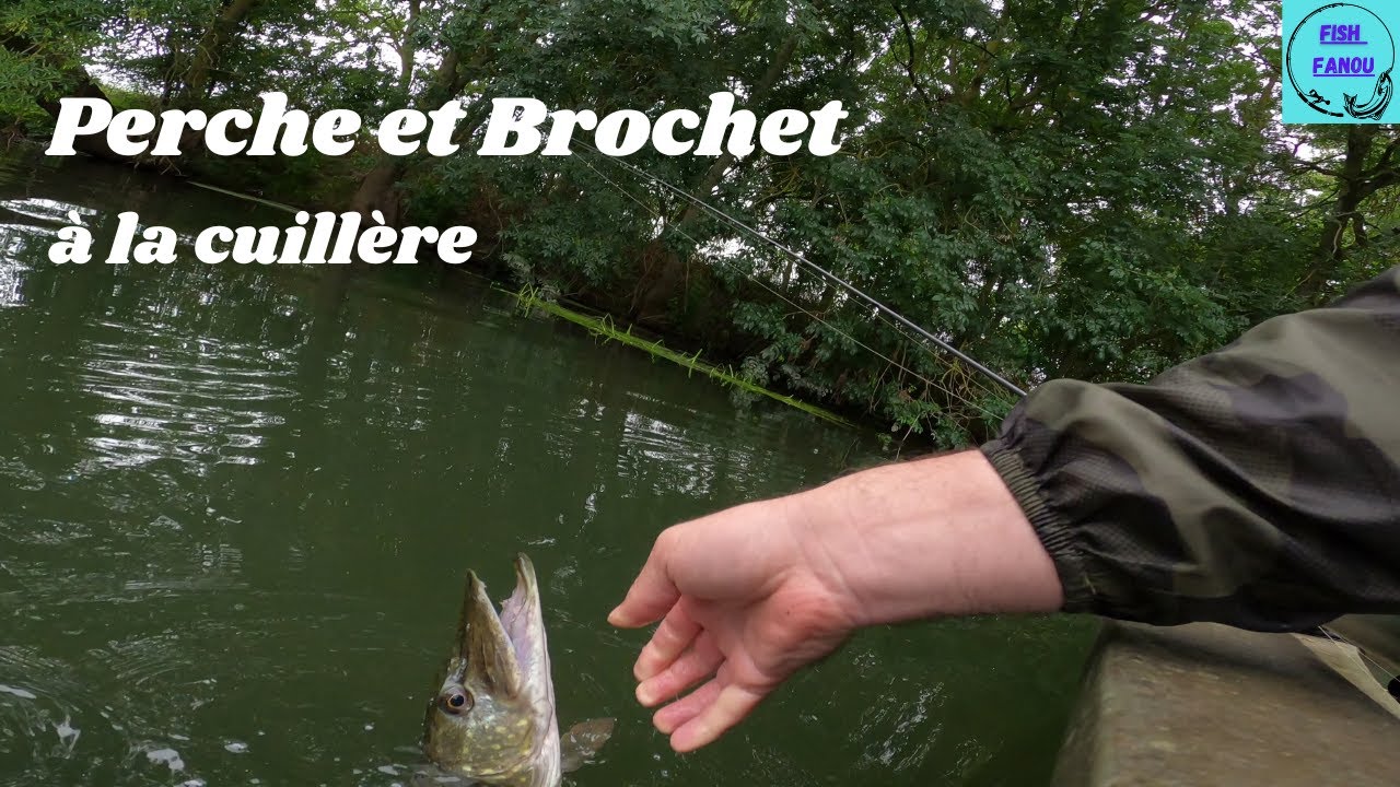 Perche et Brochet à la cuillère