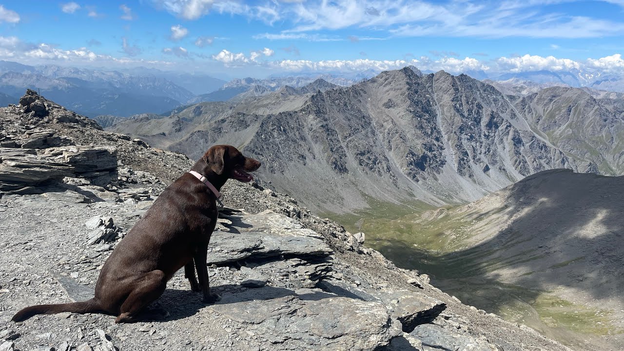 🥾3🐕🏠 (TO) 2022-07- Punta Ramiere - Una notte al bivacco Tornior