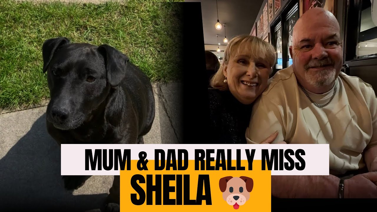 MUM & DAD REALLY MISS THEIR DOG. 🐶 