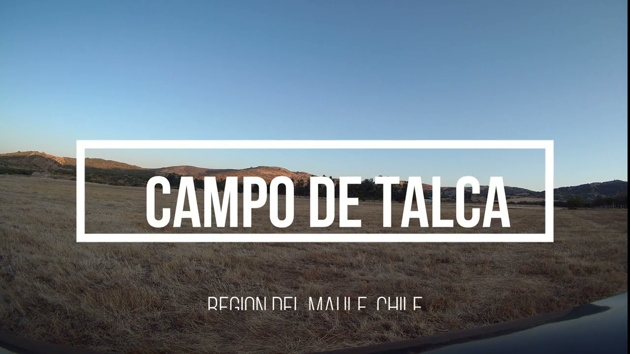 CAMPO DE TALCA