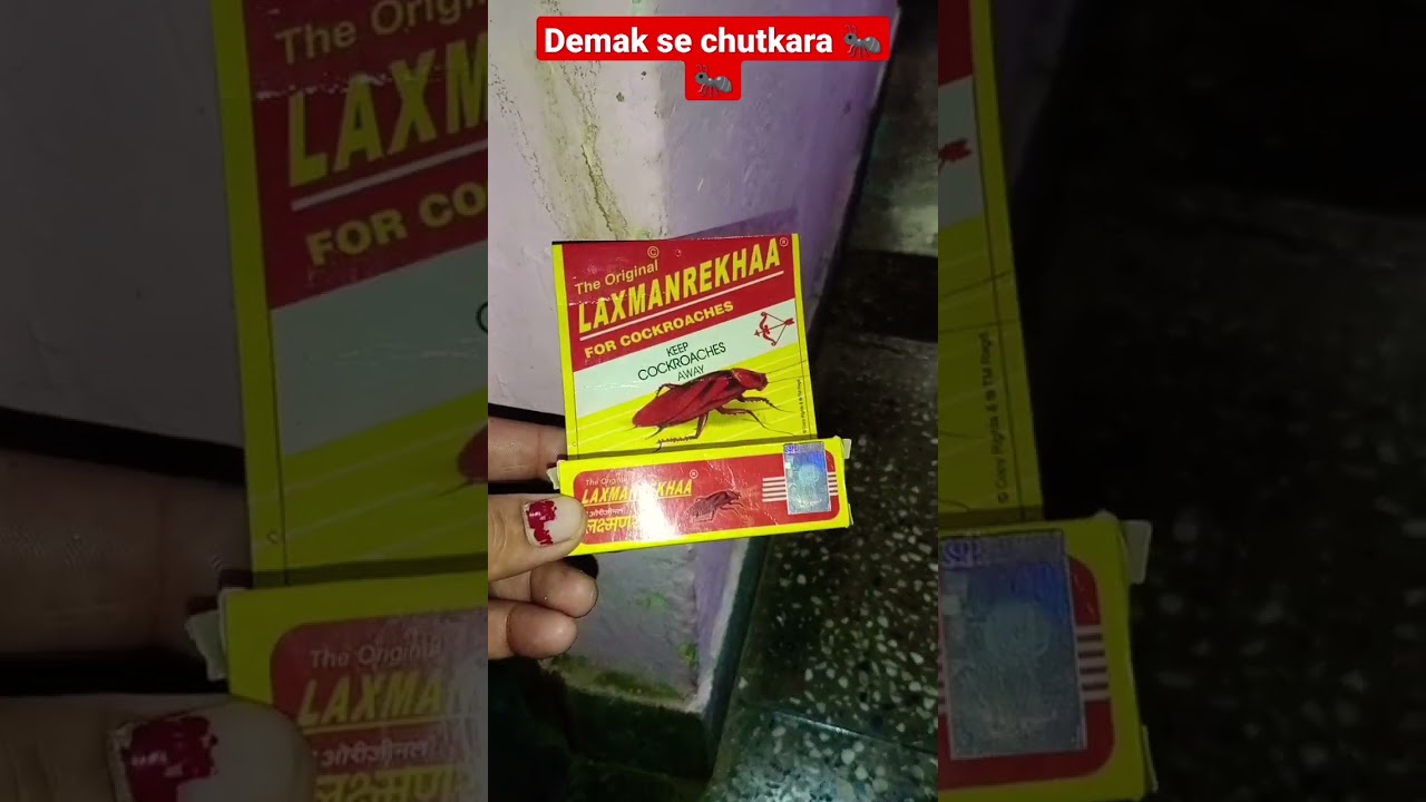दीमक से कैसे बचे 🤔demak marne ki dva 🐜🐜20September 2022@manishareallife