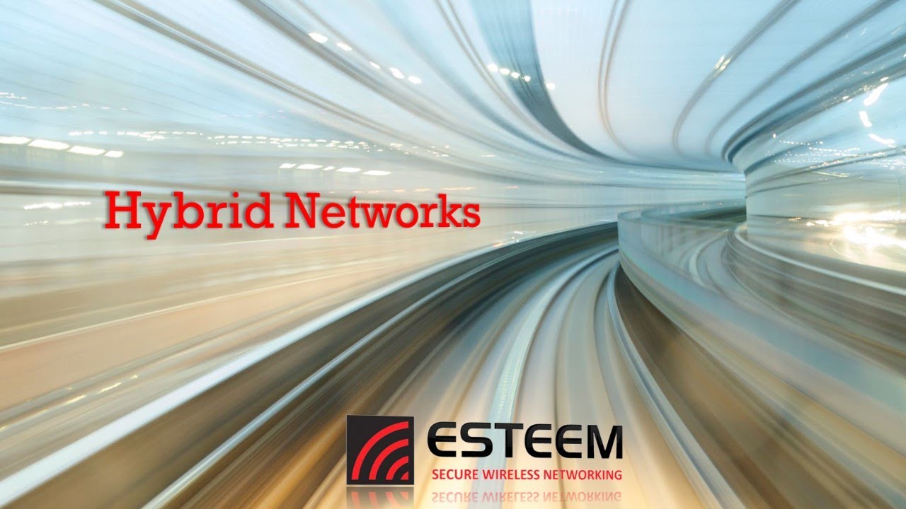 Hybrid Networks