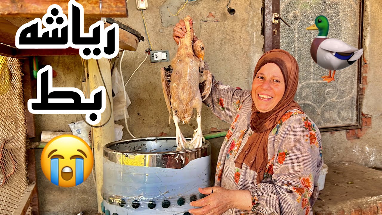 المره دى غير كل مره ( تعالوا شوفوا الرياشه عملت ايه فى البط والفراخ 😭😭)