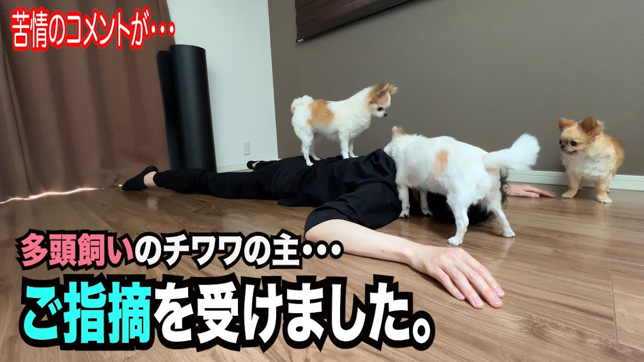 【苦情のコメントが届いたので全力で改善したいと思います！】