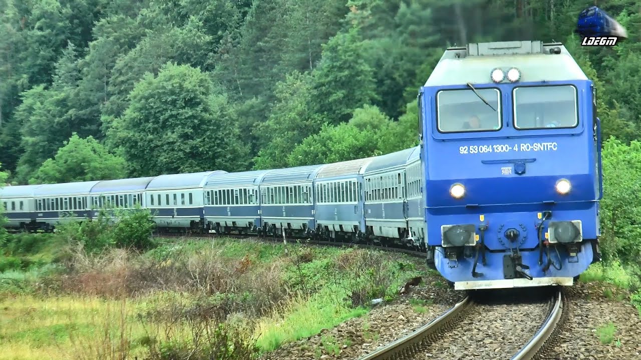 Trenuri în Defileul Crișului Repede 🚆🚂🚄 Trains in Crișul Repede`s Canyon - 10 July 2022