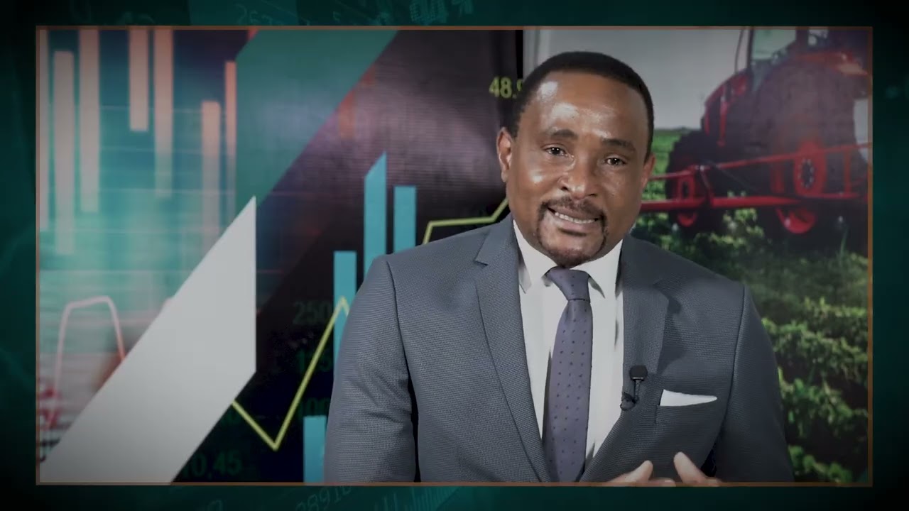 Edição 25 - Moçambique entre a ganhos e responsabilidades