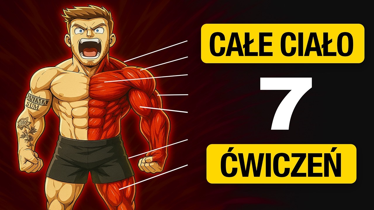 gotowy trening FBW budujący masę mięśni całego ciała