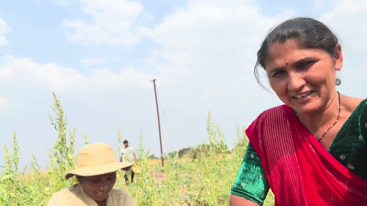 मी आले माहेरी 😍 | वडिलांची कांदा काढणी सुरू 🚜 | शेतकरी जीवनाचा खास व्लॉग | Marathi Farmer Vlog