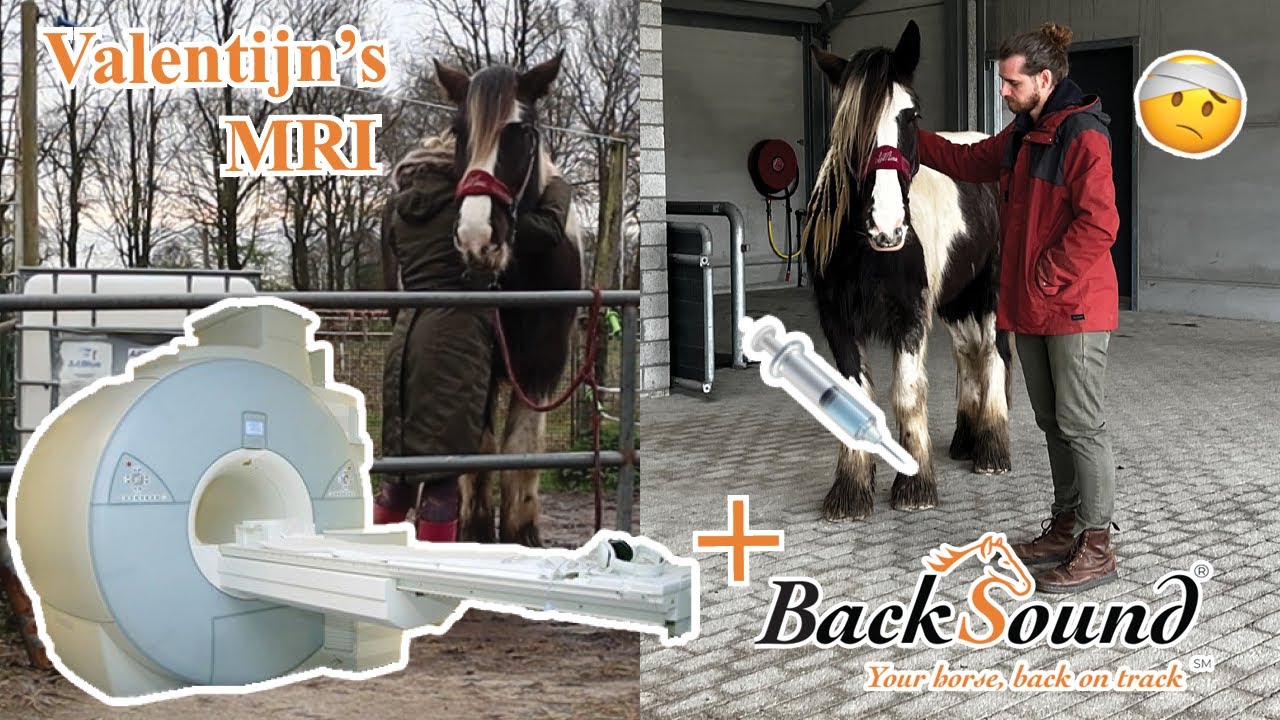 Dit hadden we niet verwacht... Paarden MRI+Backsound behandeling | Vlog #54 | Dwally's Horses