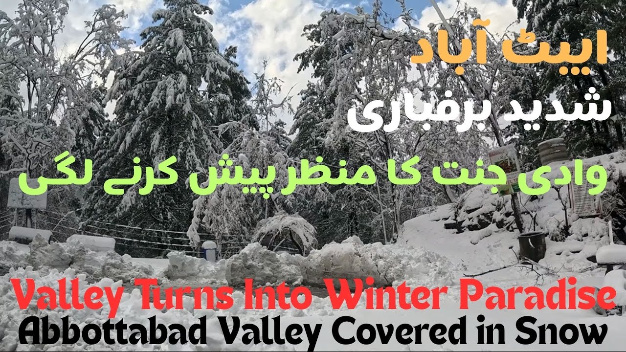 Abbottabad After Snowfall | Stunning Winter Wonderland in Pakistan