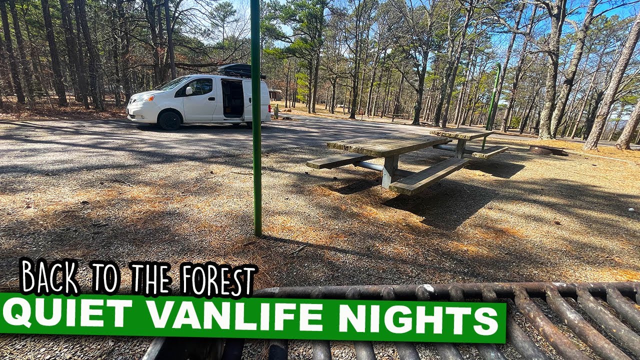 Quiet Vanlife Nights | Back To The Forest For A Night Of Peaceful Escape