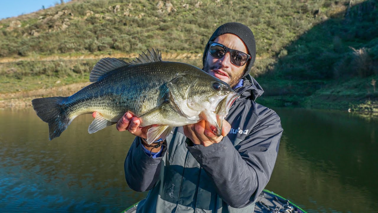 Achigãs GRANDES - Barragem do Sabor