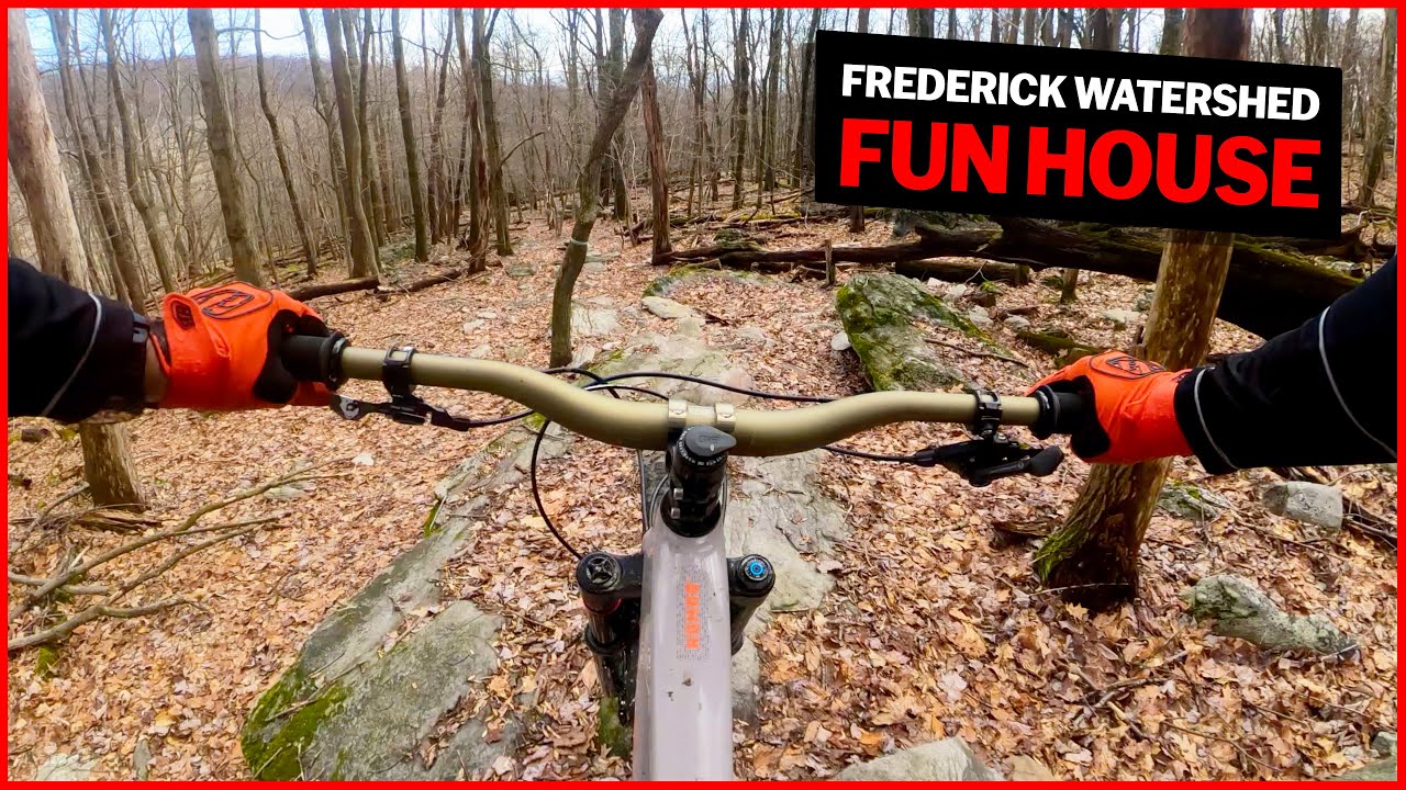 FUN HOUSE | FREDERICK WATERSHED