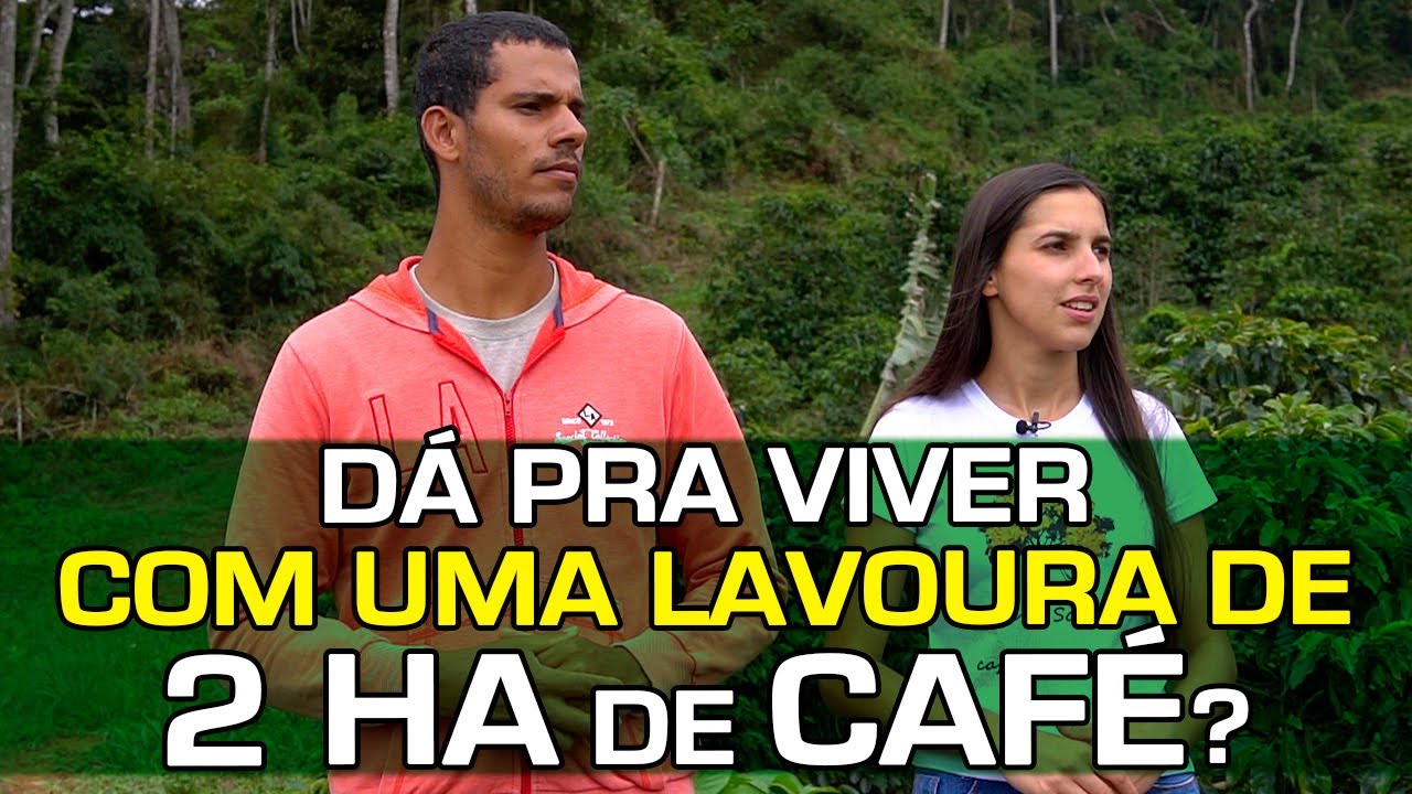 A Família que faz 5.000 Pés de Café Render o Dobro! | No Pé do Café