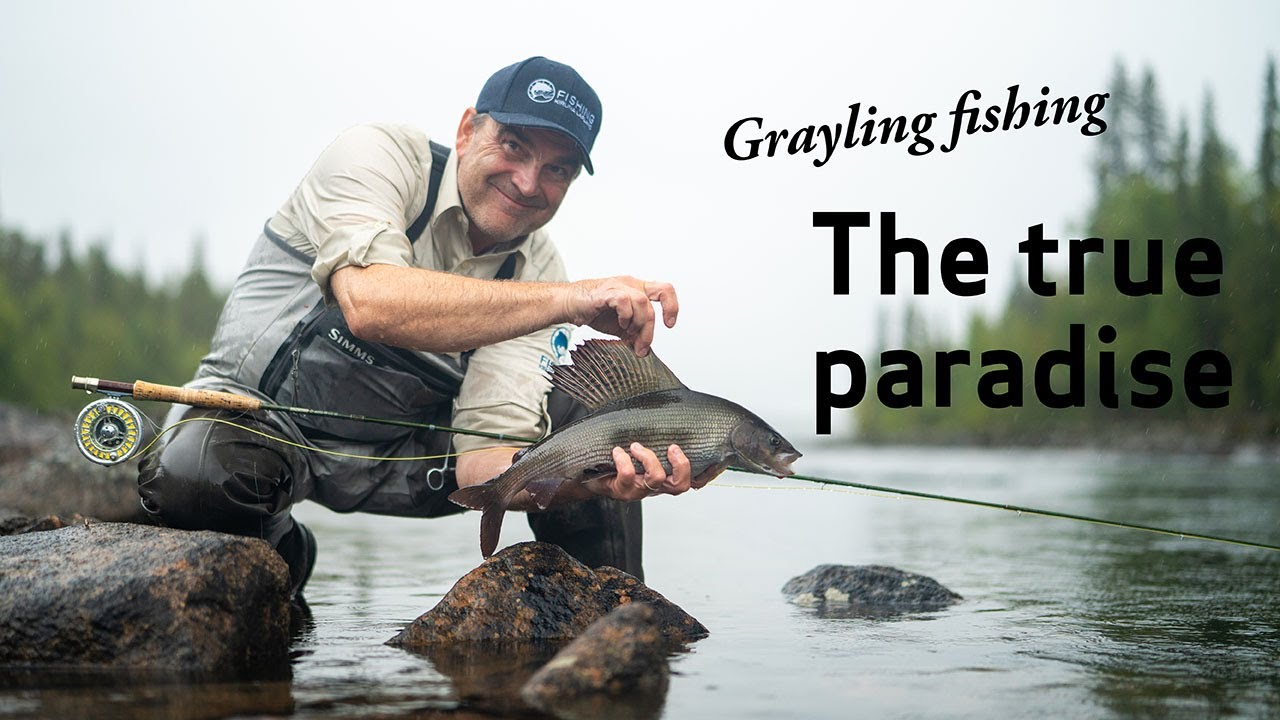 True Paradise for Grayling Fishing