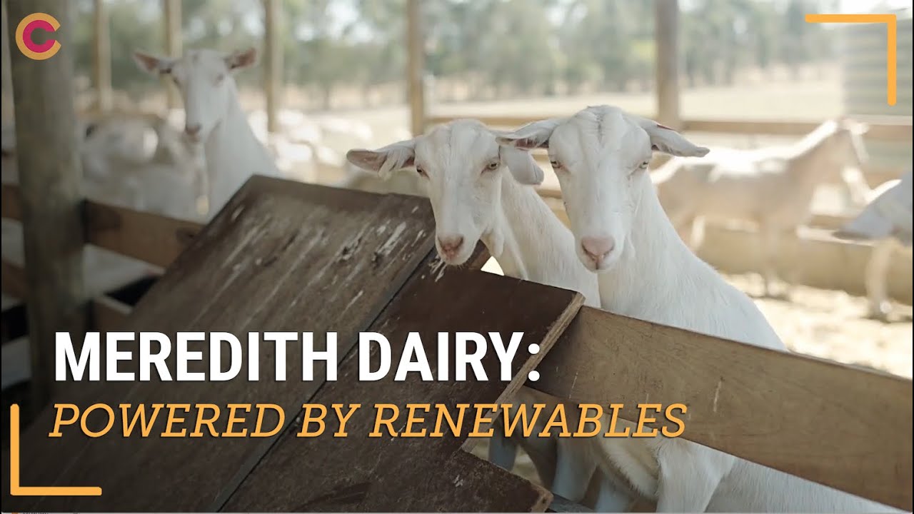 Meredith Dairy: Powered by solar \\ Climate Council