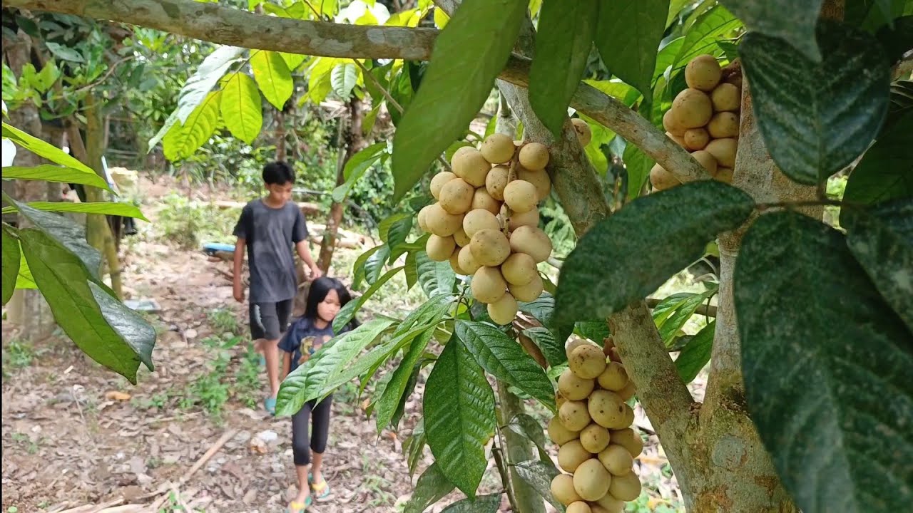Plant Today, Harvest Tomorrow: Why Planting Is Always Worth It