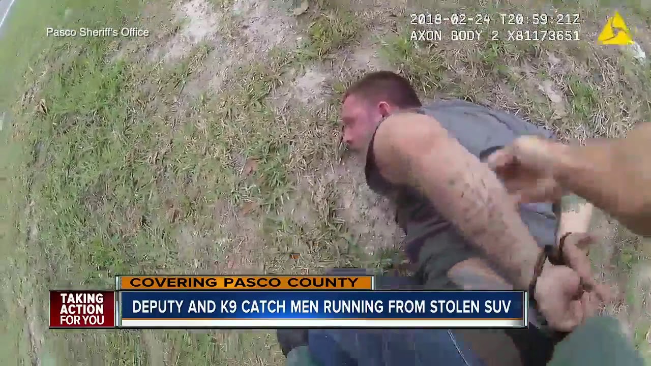 Pasco Co. deputy and K9 chase down stolen vehicle suspects
