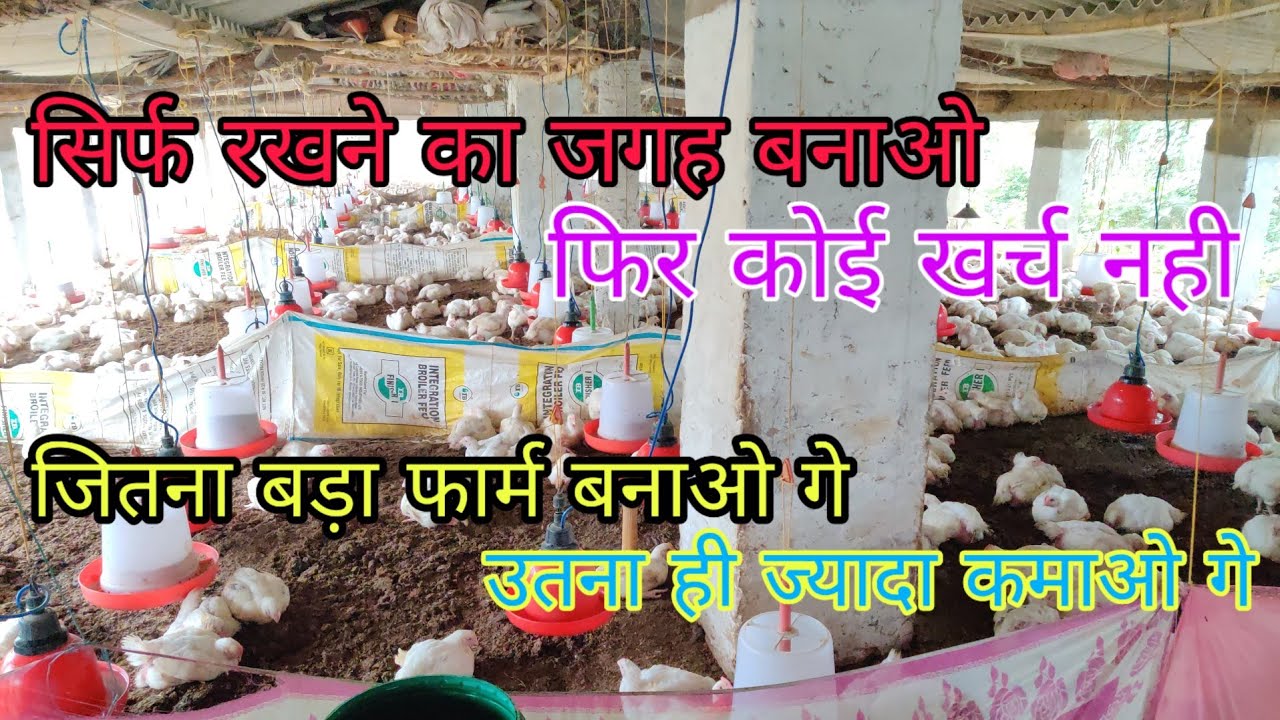 ठेकेदार से मुर्गी पालन बिहार Contractor Poultry Farm Bihar