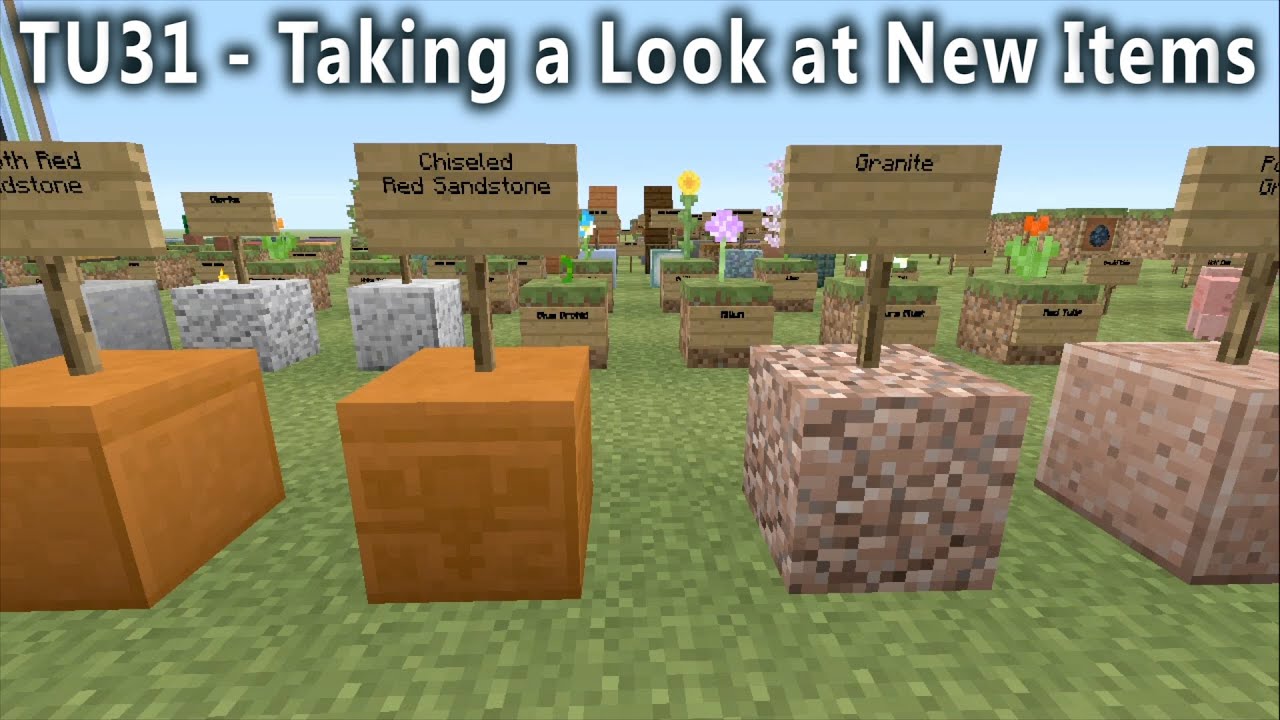 Minecraft - Title Update 31 - Taking a Look at the New Items! (TU31)