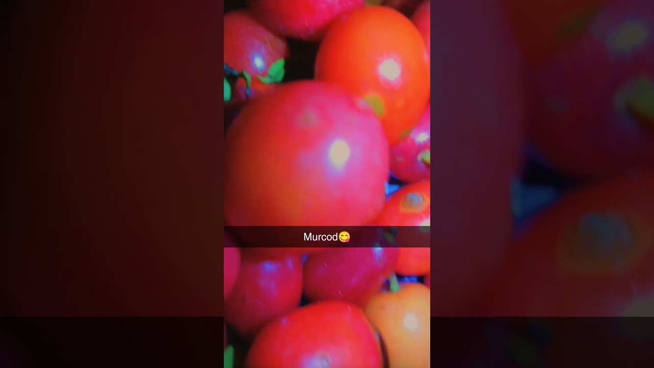 welcome to murcod 😋