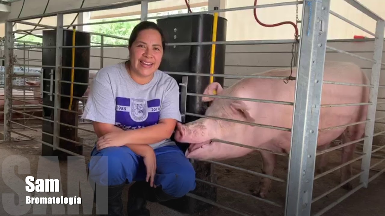 a los 492 alumnos de Medicina Veterinaria y Zootecnia de la UAQ