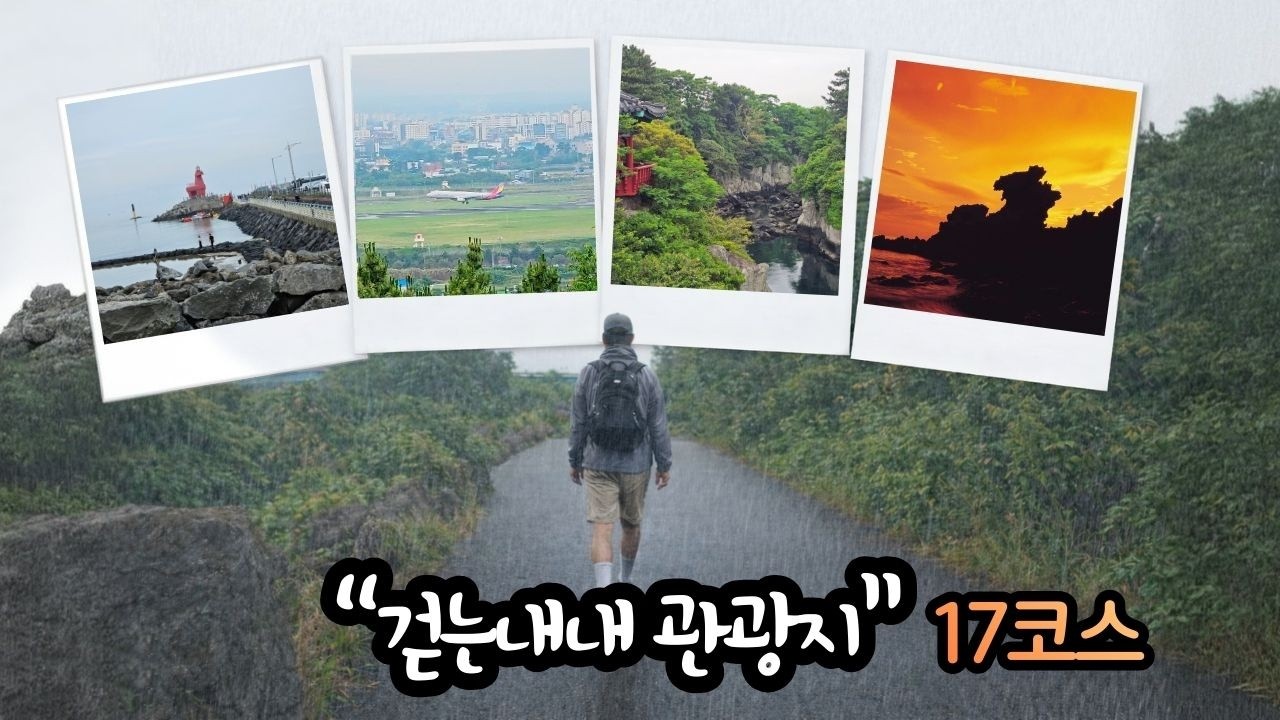 [바다,숲,오름,도시 제주의 모든 풍경을 만날 수 있는 코스ㅣ제주올레 완주 도전기ㅣ올레17코스] - EP03