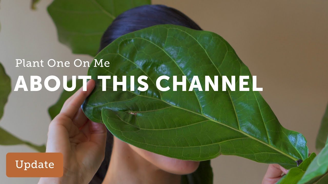 Plant One On Me 2019&mdash;Houseplants, Gardening, and More!