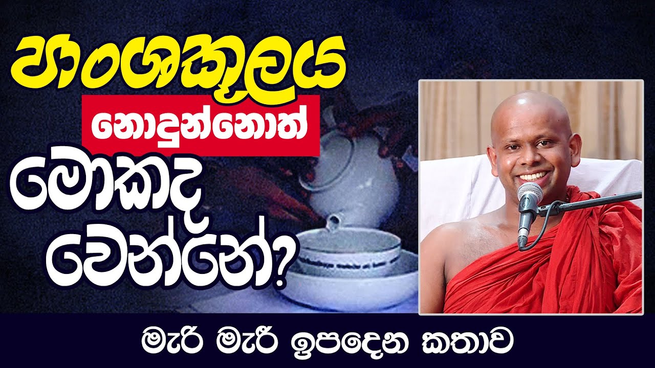 පාංශකූලය නොදුන්නොත් මොකද වෙන්නේ ? (මැරි මැරී ඉපදෙන කතාව)  | Venerable Welimada Saddaseela Thero