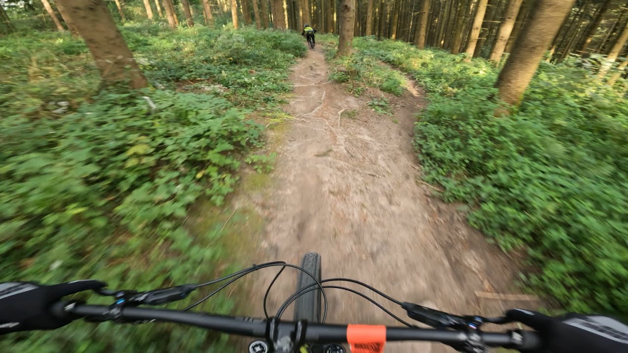 Enduro Trails mit Alex  |  MTB Heidelberg