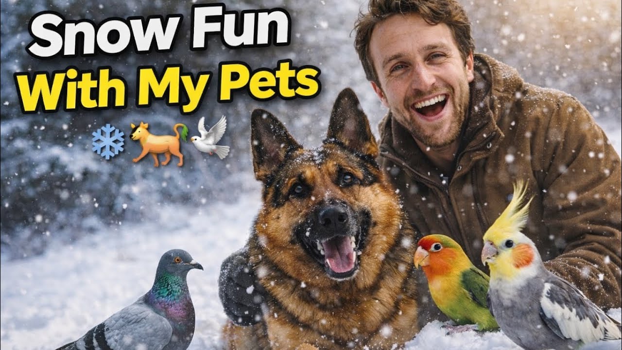 Enjoying Snow With My this pet😍