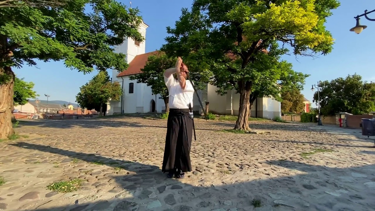 Jikishin Kage-ryu Kenjutsu (2020)