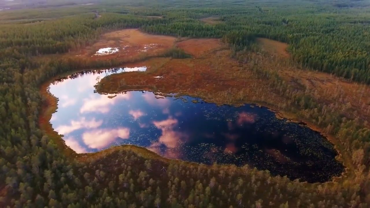 Norrbotten, the northernmost&nbsp;county of Sweden.&nbsp;
