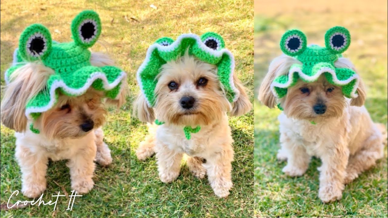 Crochet a frog dog / cat hat | Size small | 8cm between the 2 ears | Full tutorial