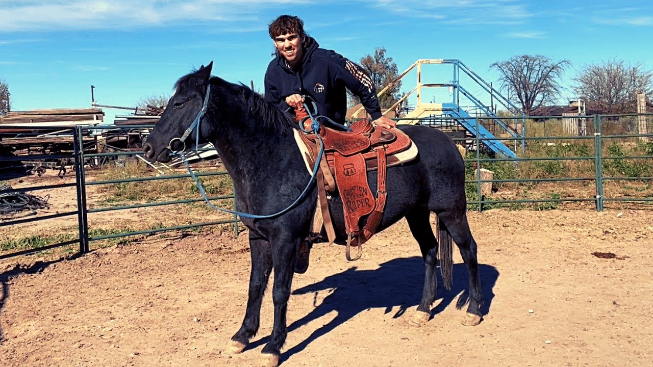 FIRST MOUNT, FIRST RIDE | IT'S HARD TO SAY GOODBYE to this BOY