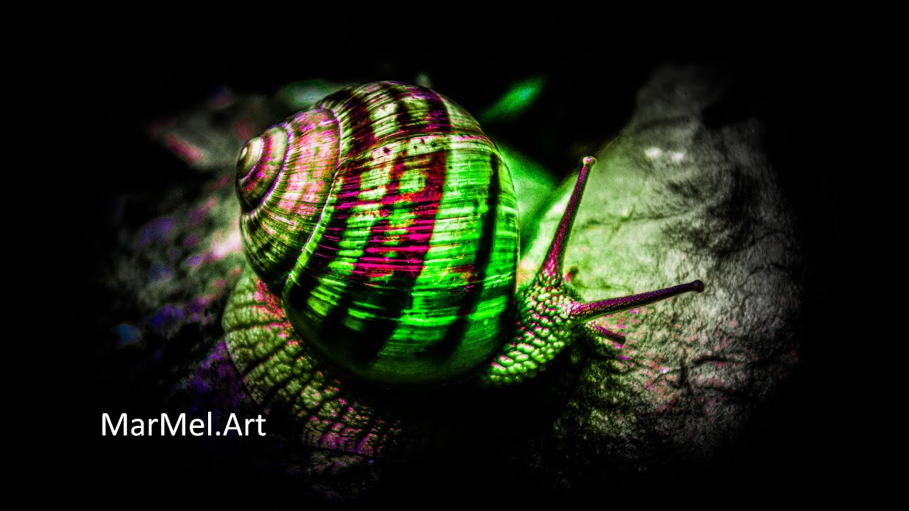 MarMel.Art on Tour - Tierische Momente