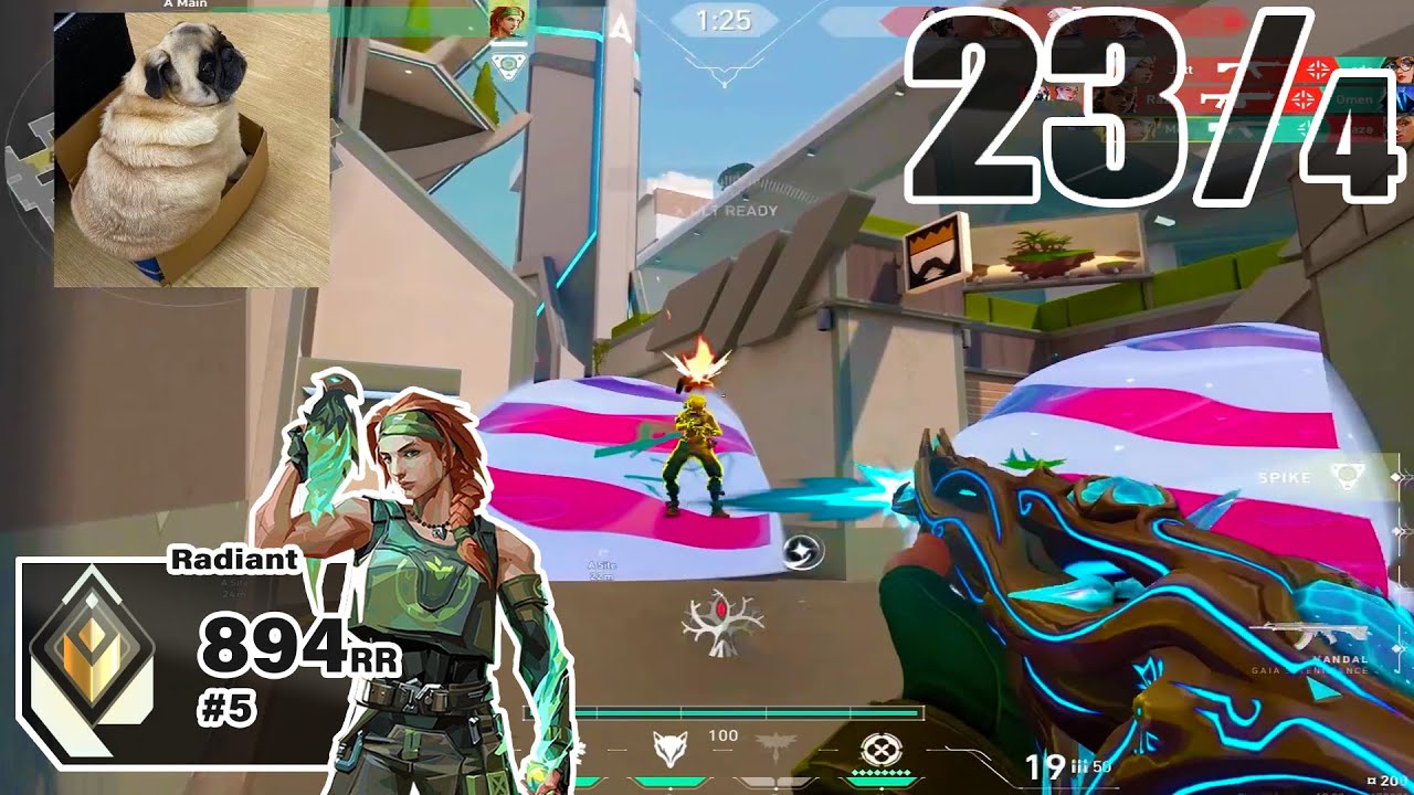 INSANELY Talented! - 2G basic [BR] #MatchMVP