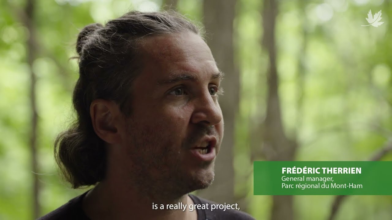 Ham-Sud, QC - 516 hectares in a vast natural corridor in the Estrie region are now protected!